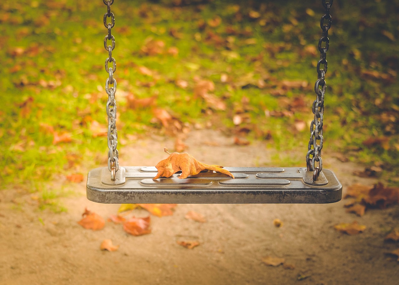 A Guide to Assembling a Wooden Swing Set